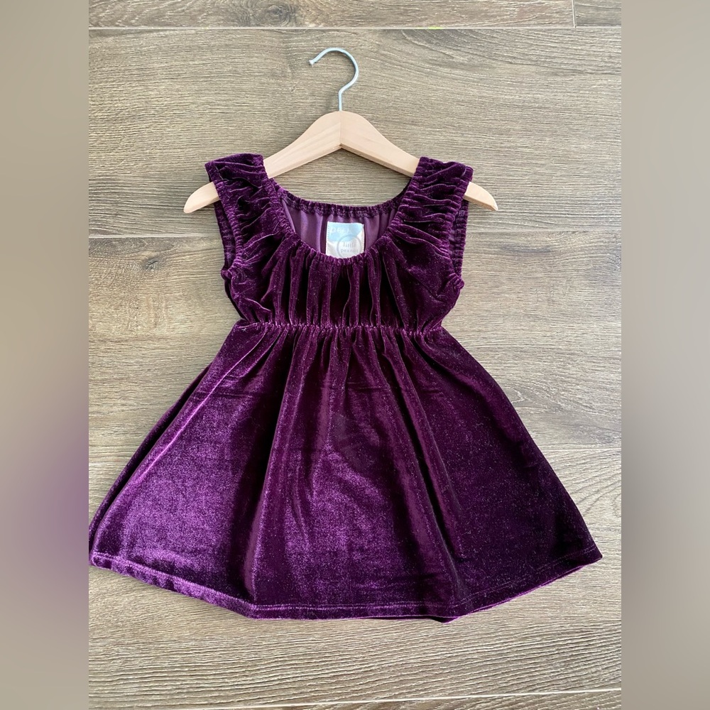 Peek Aren’t Your Curious toddler purple velvet dress Size 12-18 months NWT